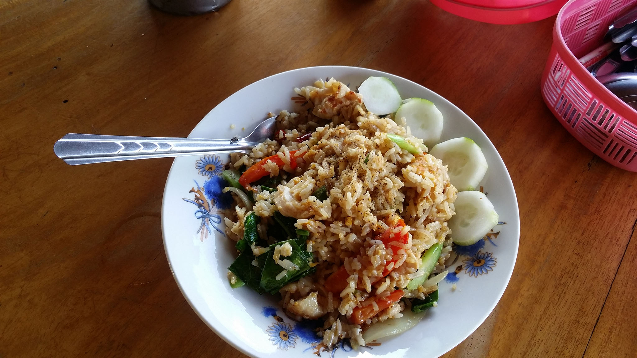 Thai Fly Lice